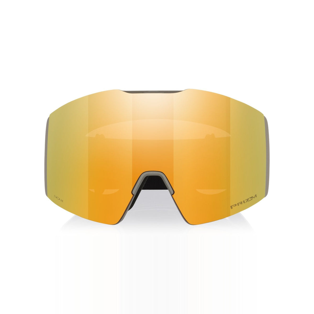Fall Line L Snow Goggle