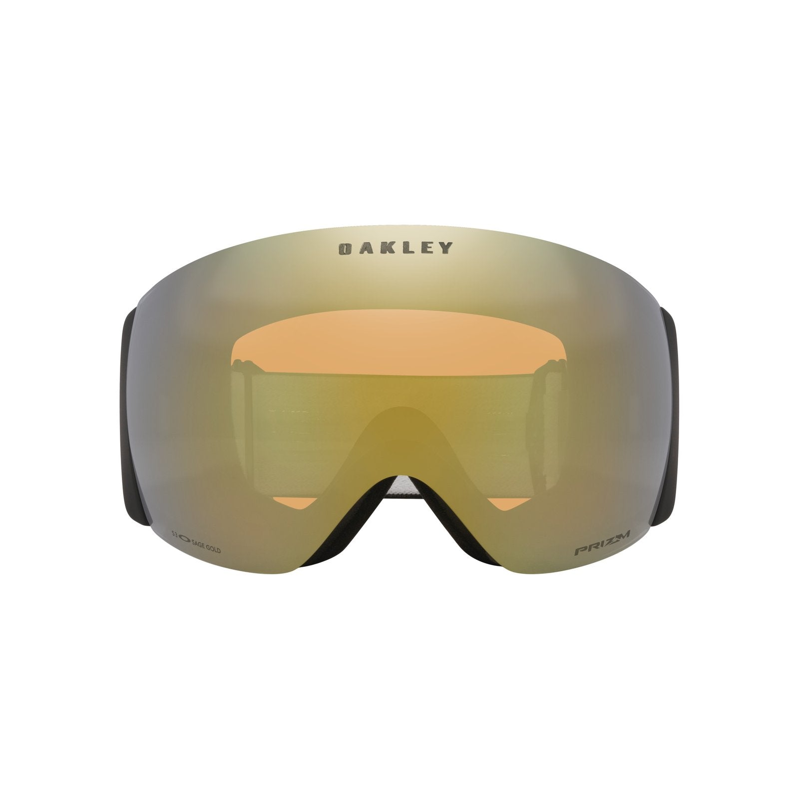 Flight Deck Pro L Snow Goggle