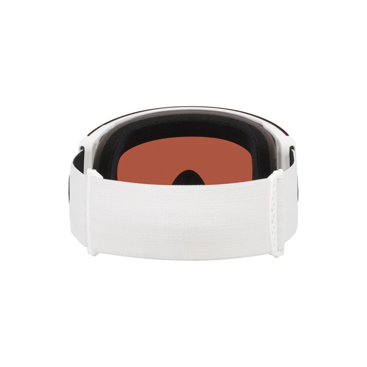 Flight Deck Pro L Snow Goggle