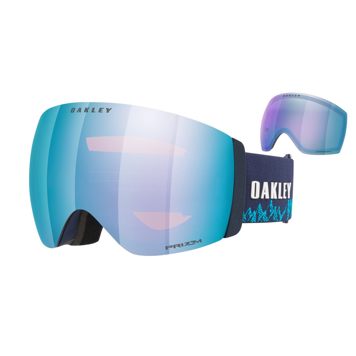 Flight Deck Pro L Snow Goggle