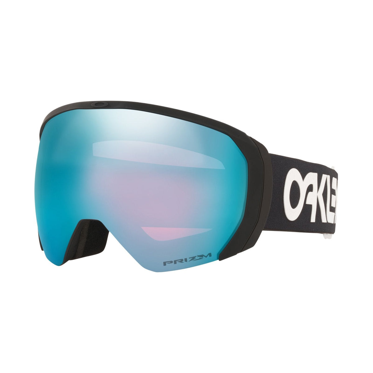 Flight Path L Snow Goggle
