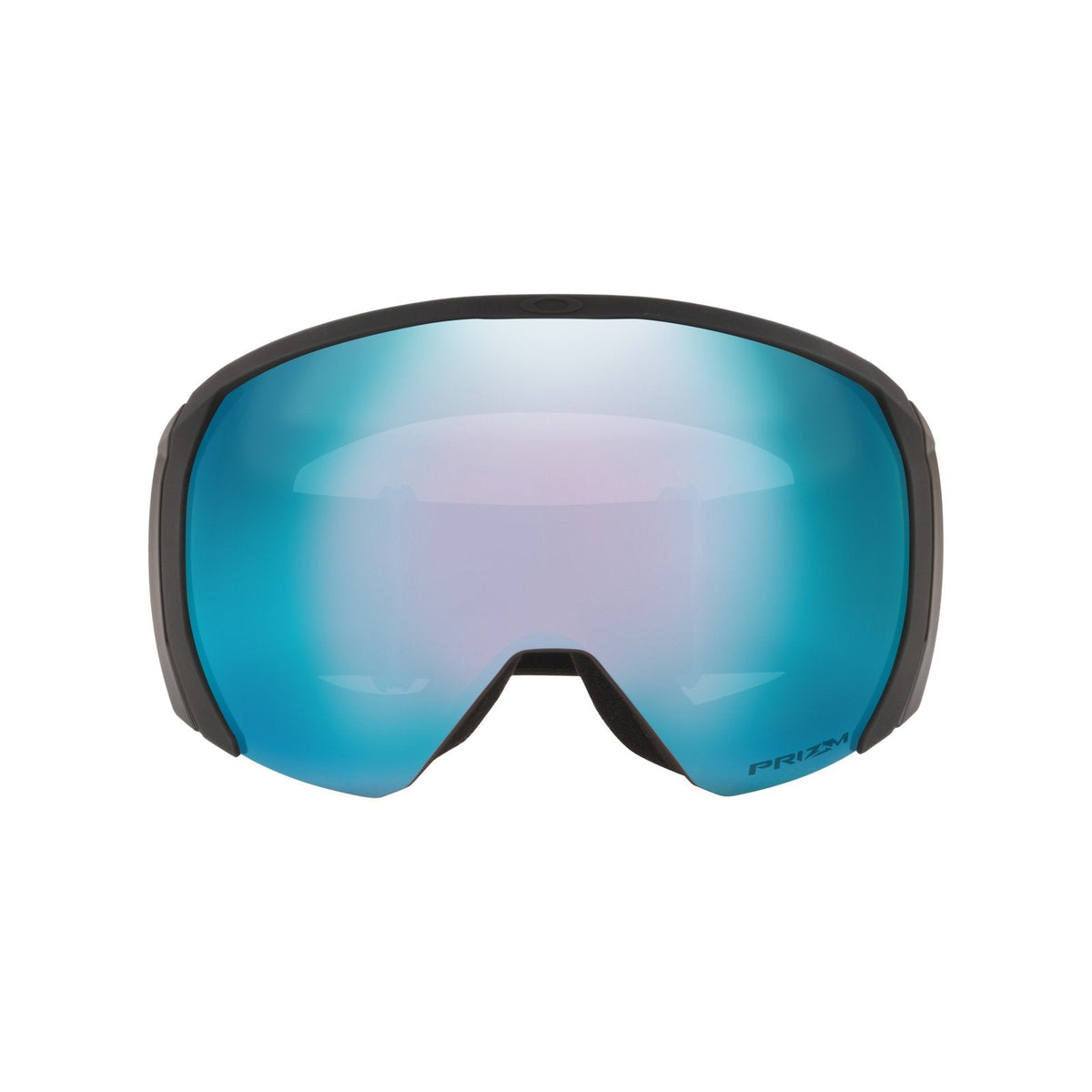 Flight Path L Snow Goggle