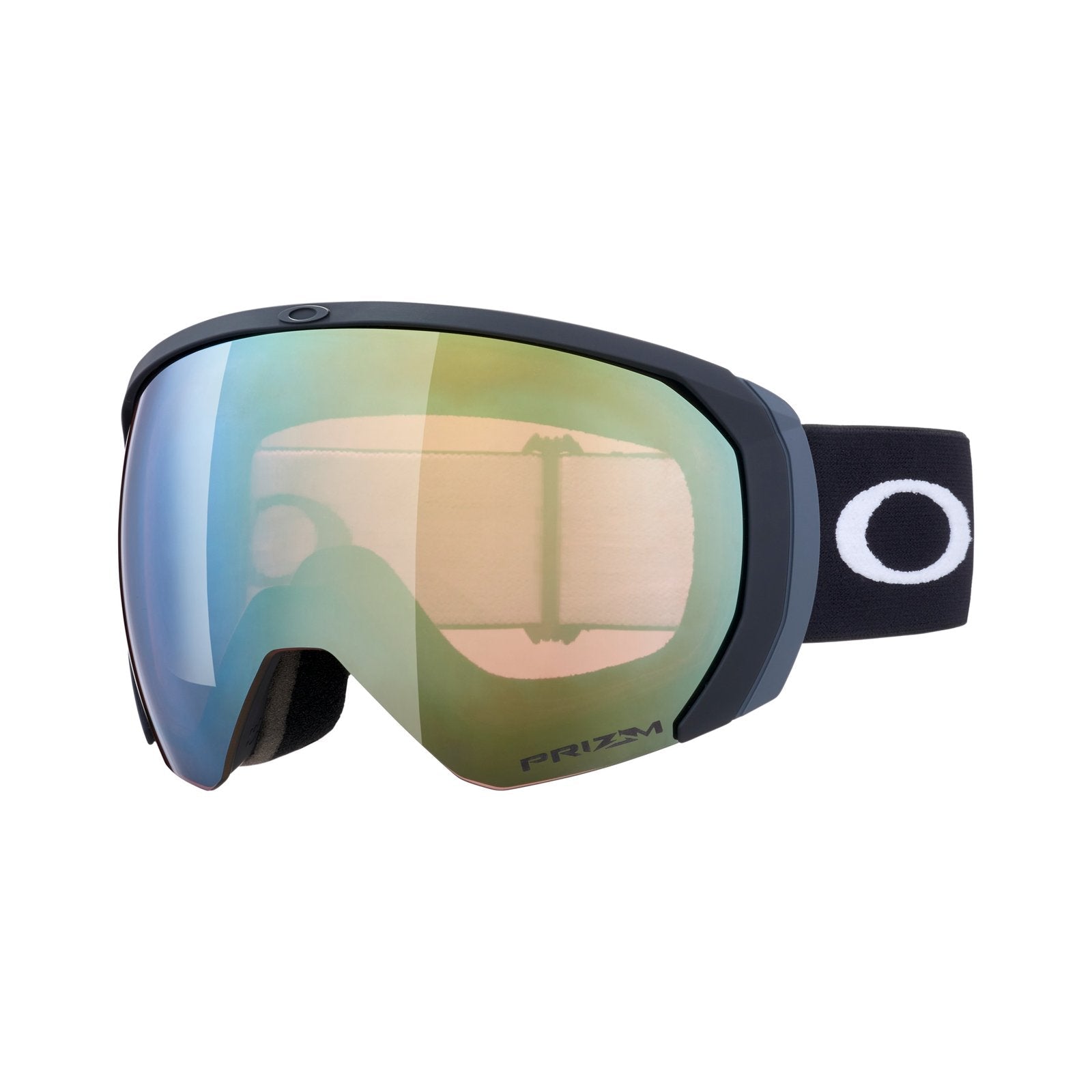 Flight Path L Snow Goggle