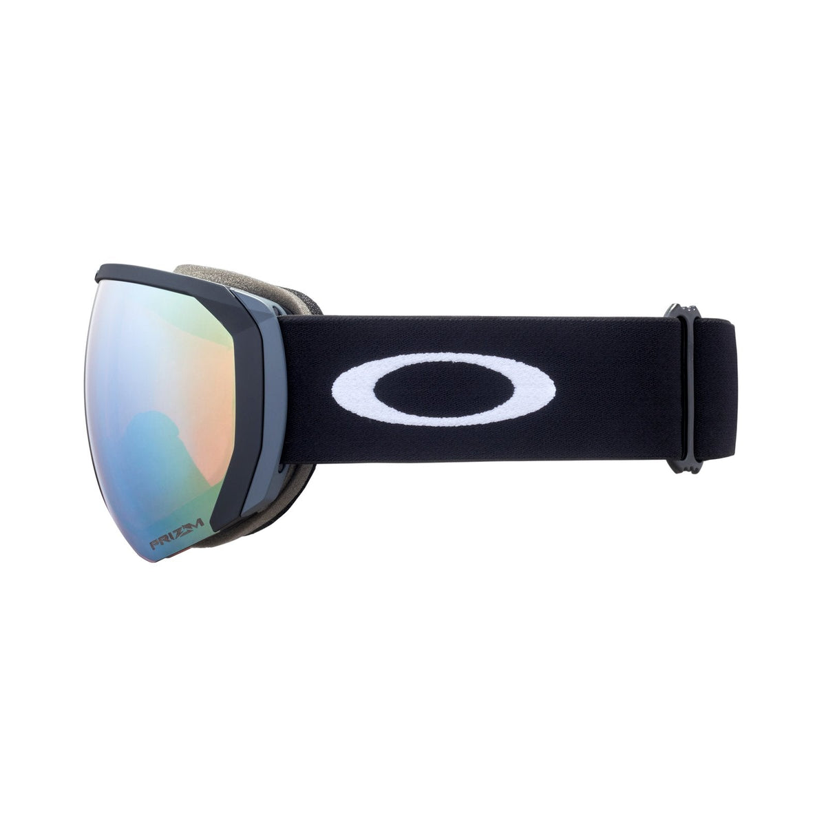 Flight Path L Snow Goggle
