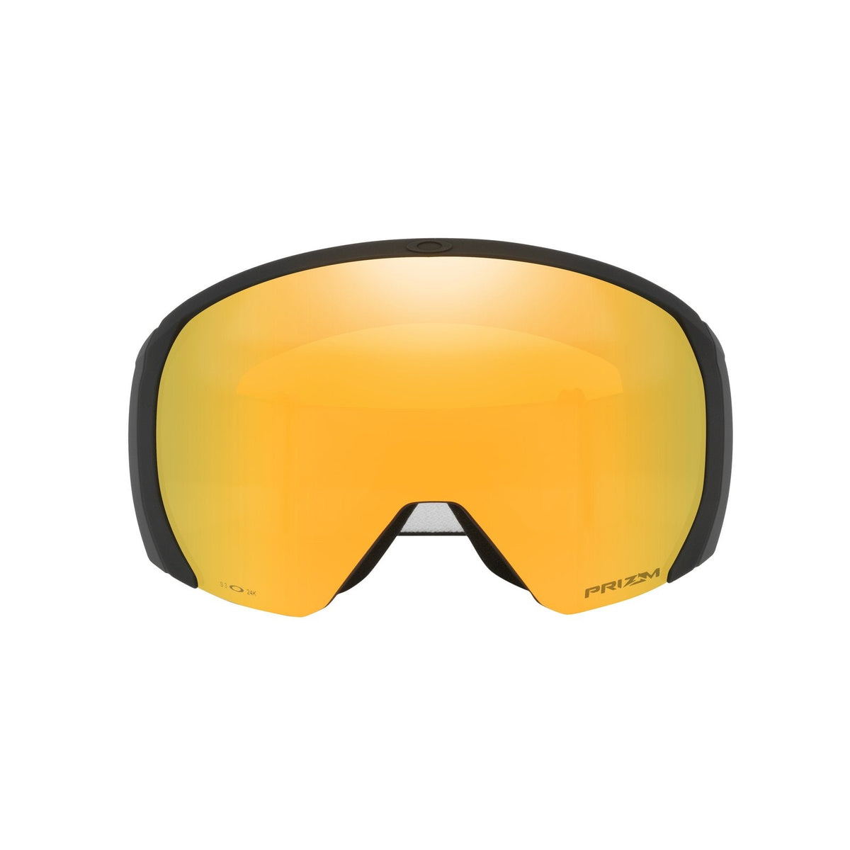 Flight Path L Snow Goggle