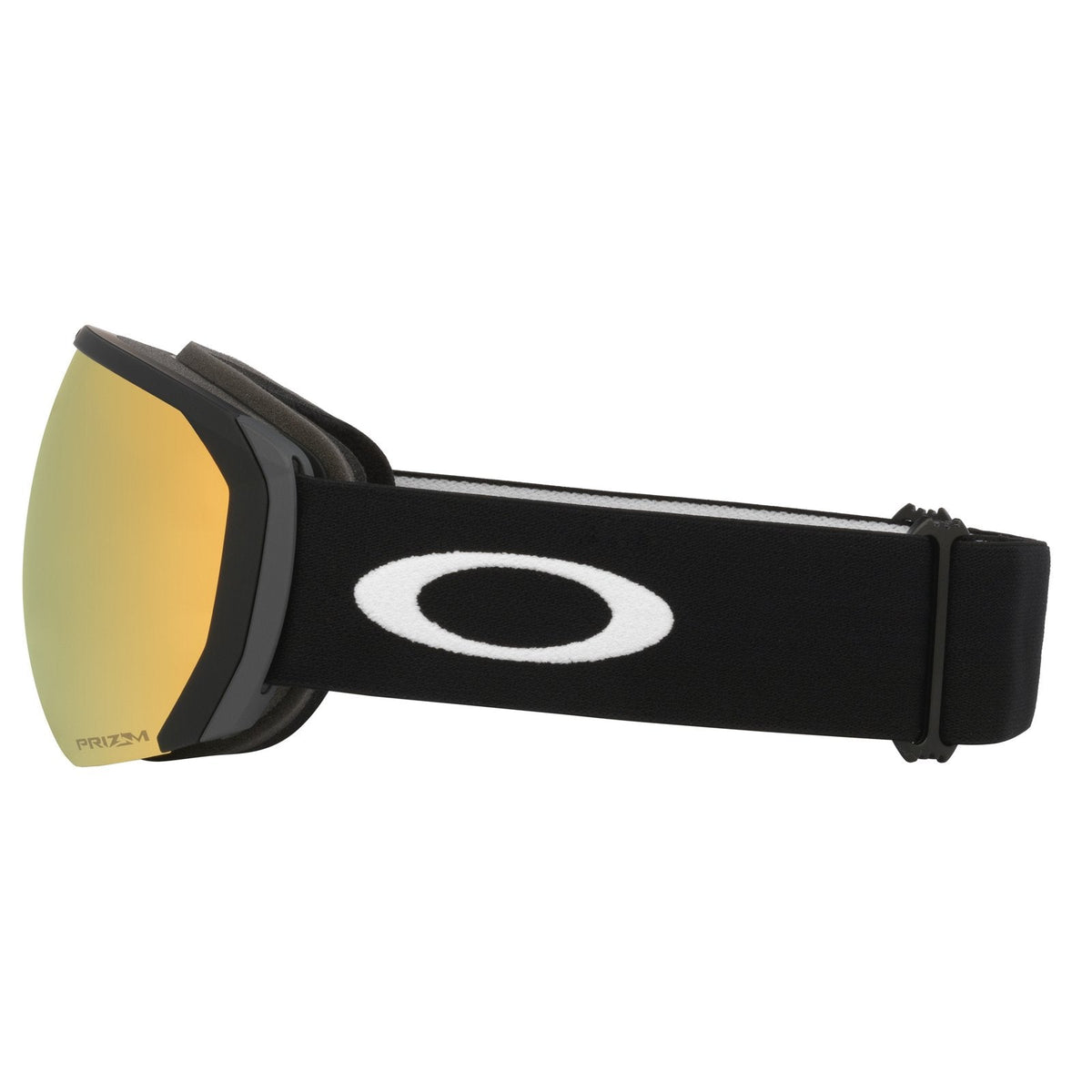 Flight Path L Snow Goggle