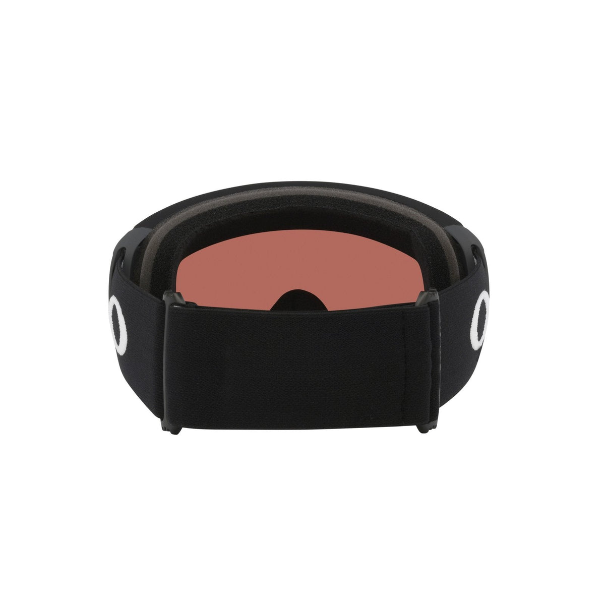 Flight Path L Snow Goggle