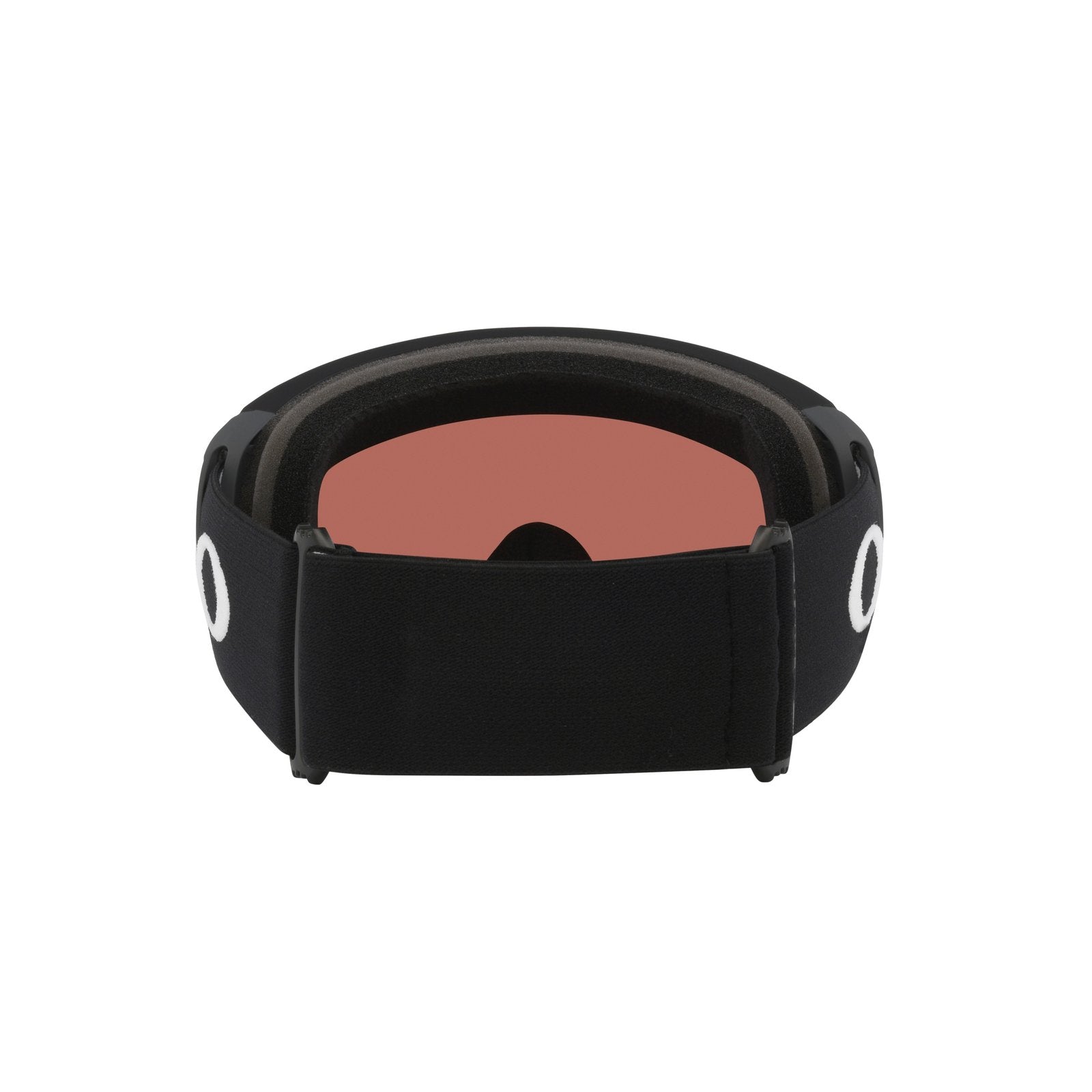 Flight Path L Snow Goggle
