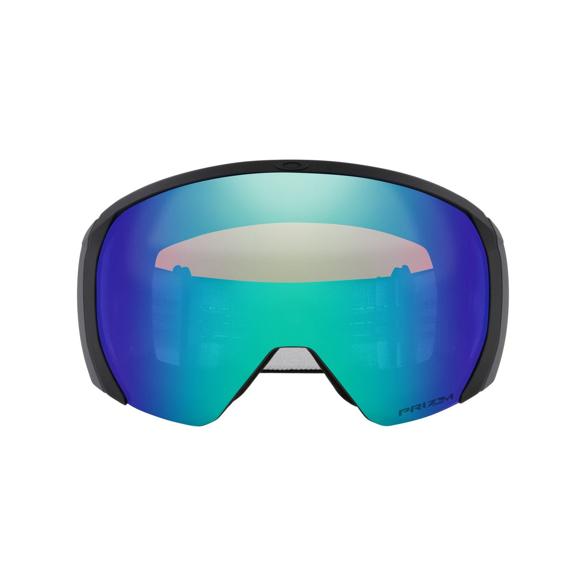 Flight Path L Snow Goggle