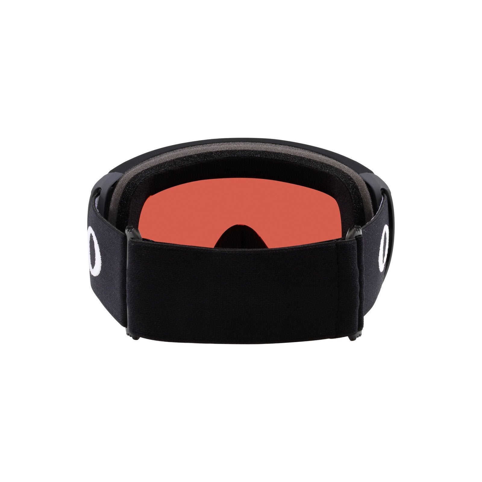 Flight Path L Snow Goggle