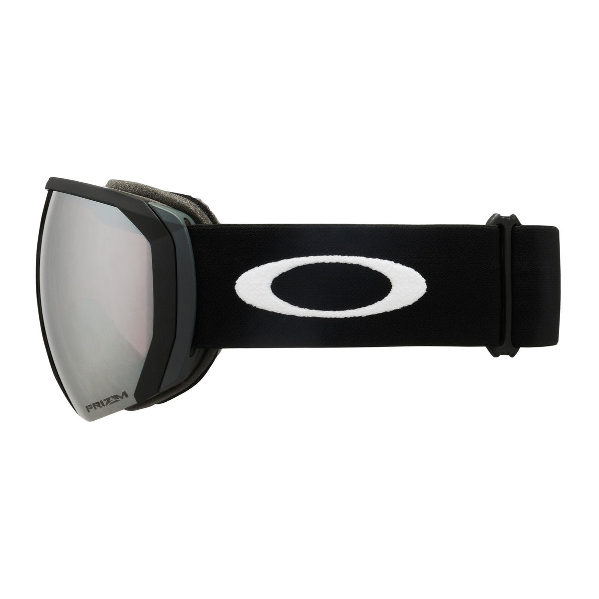 Flight Path L Snow Goggle