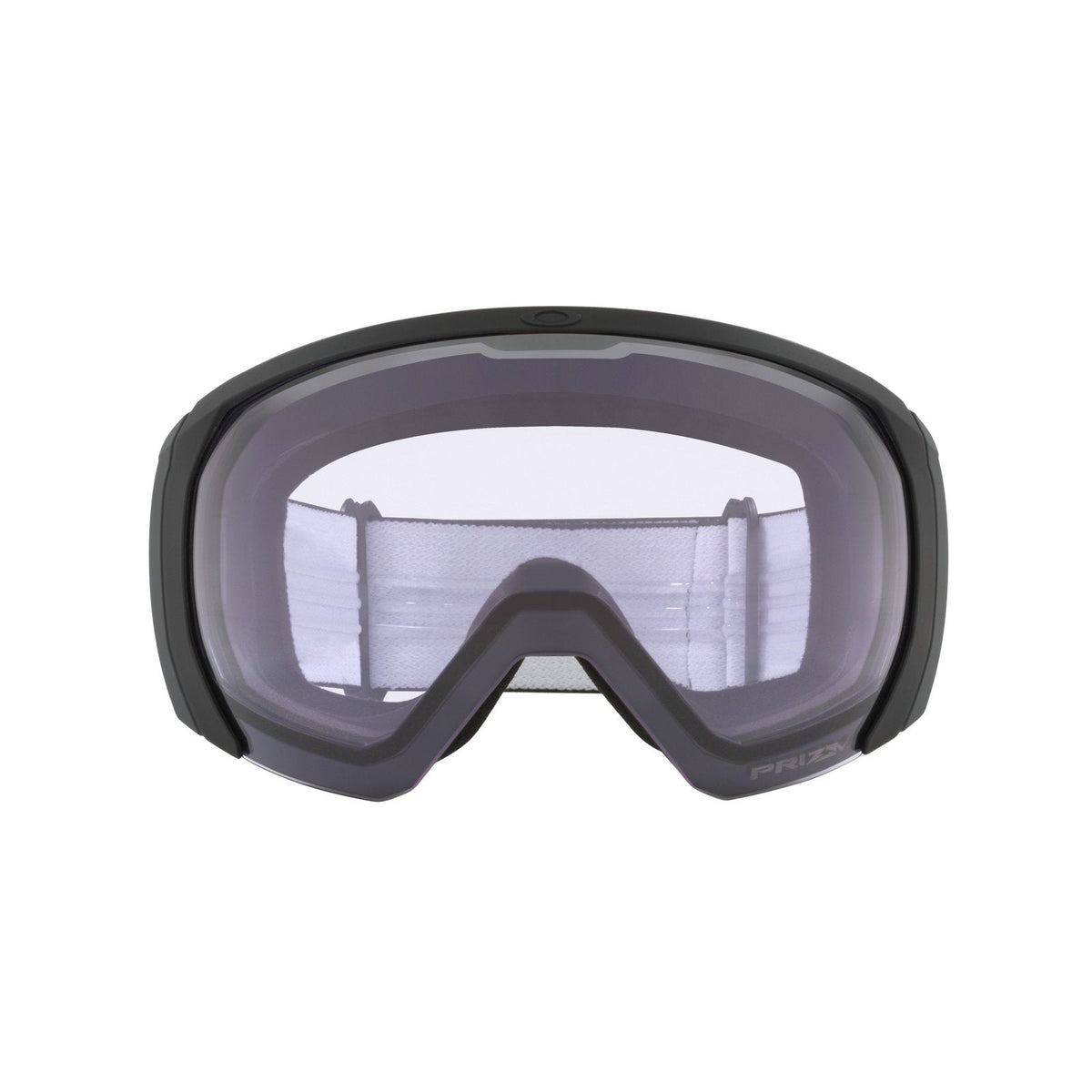 Flight Path L Snow Goggle