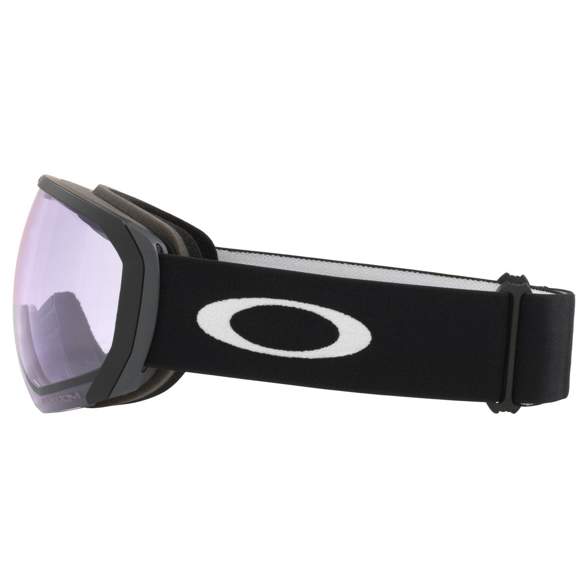 Flight Path L Snow Goggle