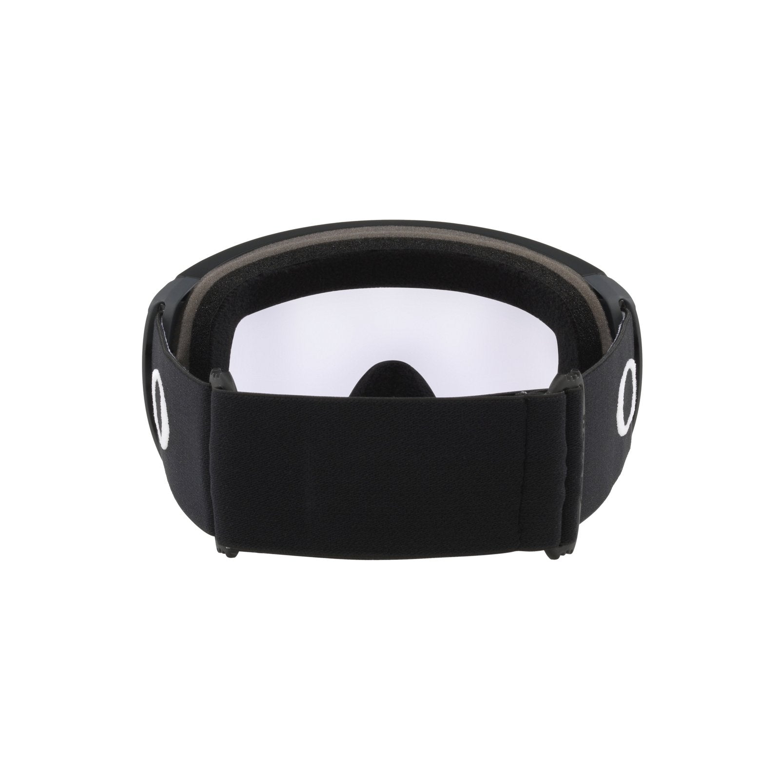 Flight Path L Snow Goggle