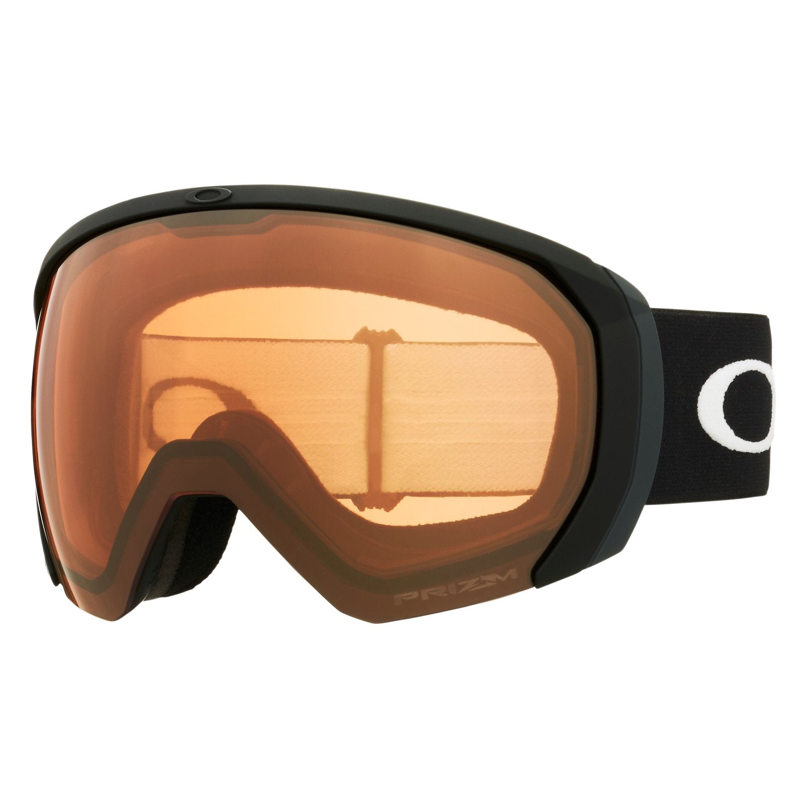 Flight Path L Snow Goggle