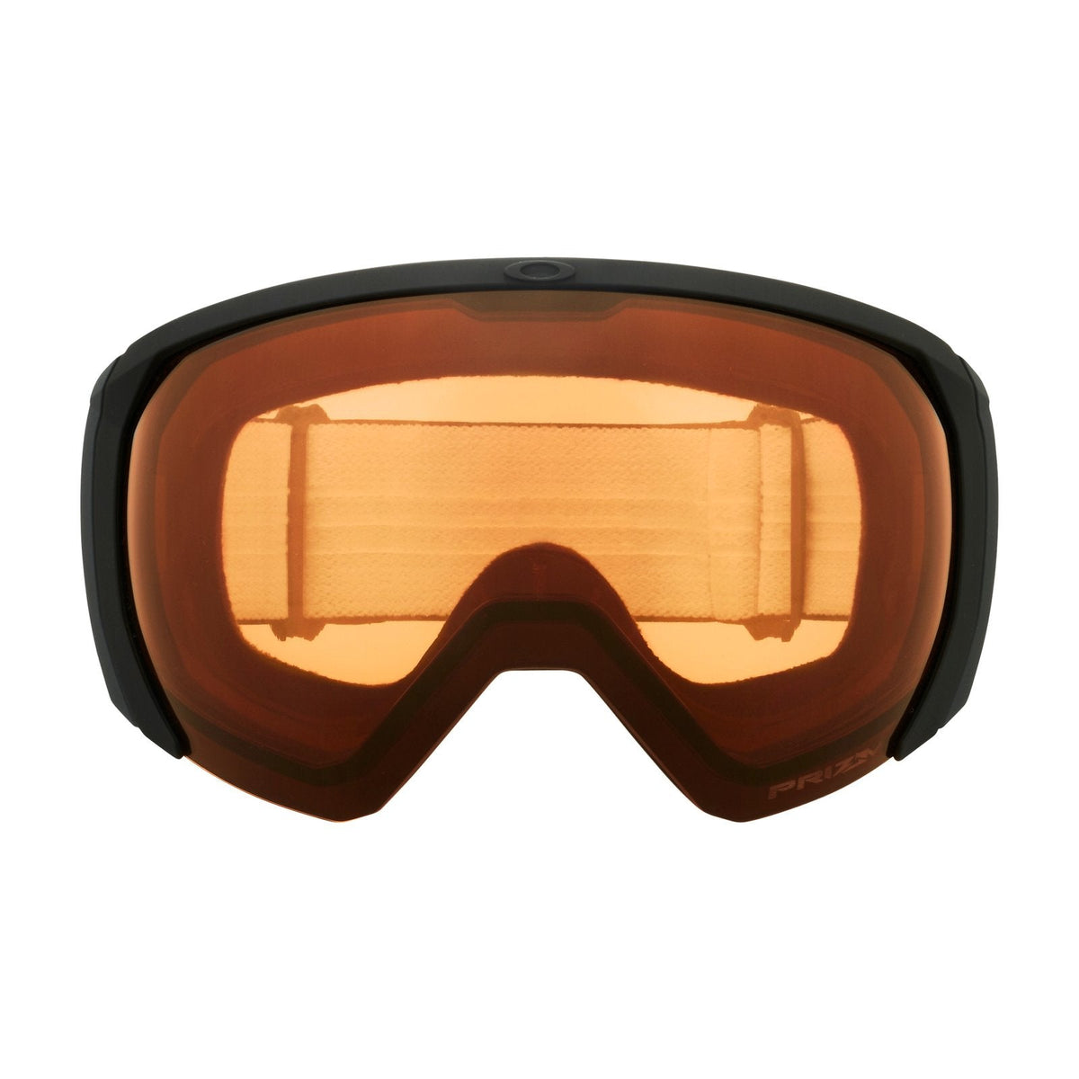 Flight Path L Snow Goggle