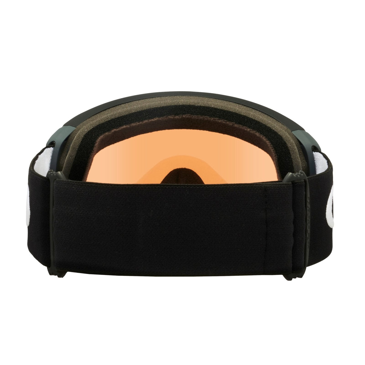 Flight Path L Snow Goggle