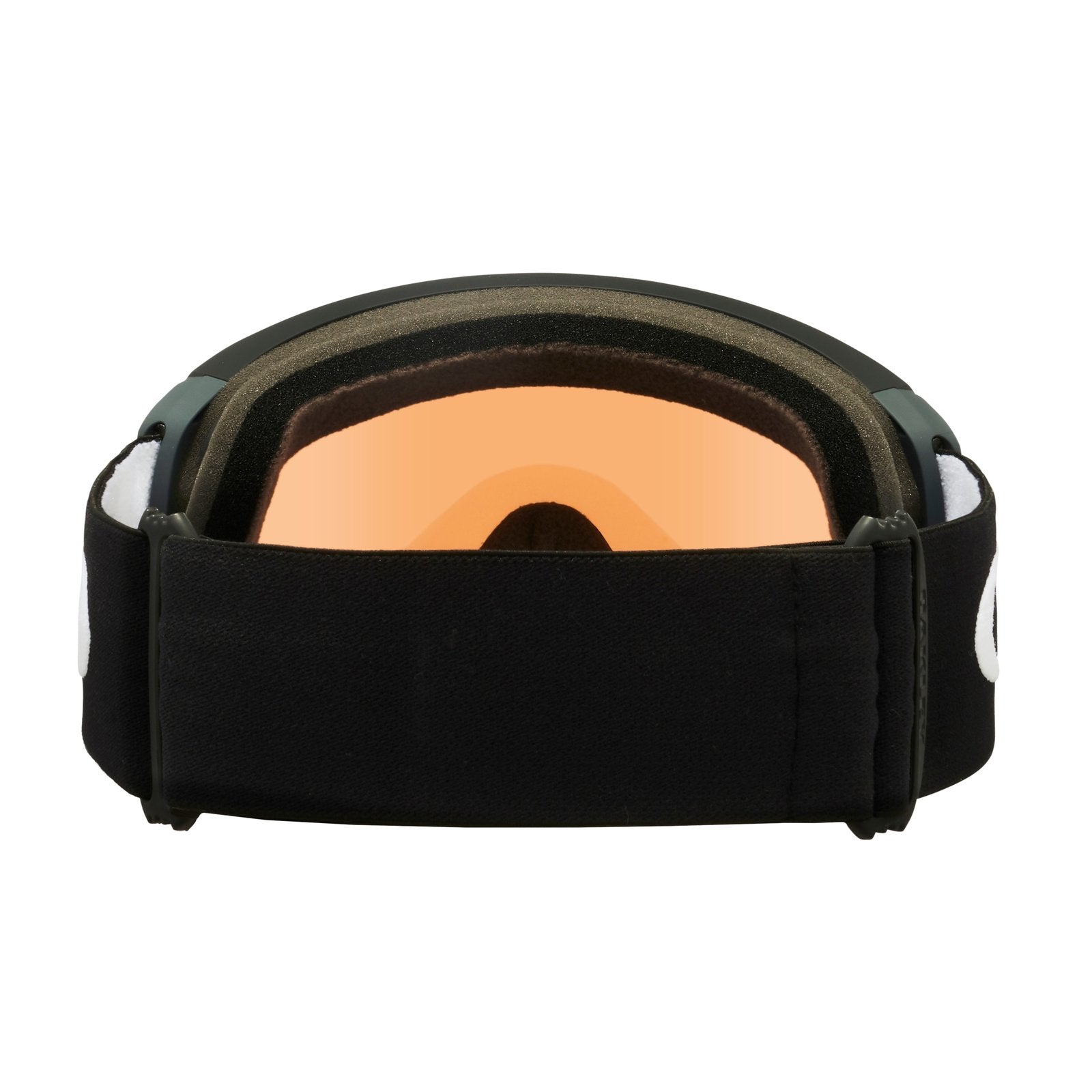 Flight Path L Snow Goggle