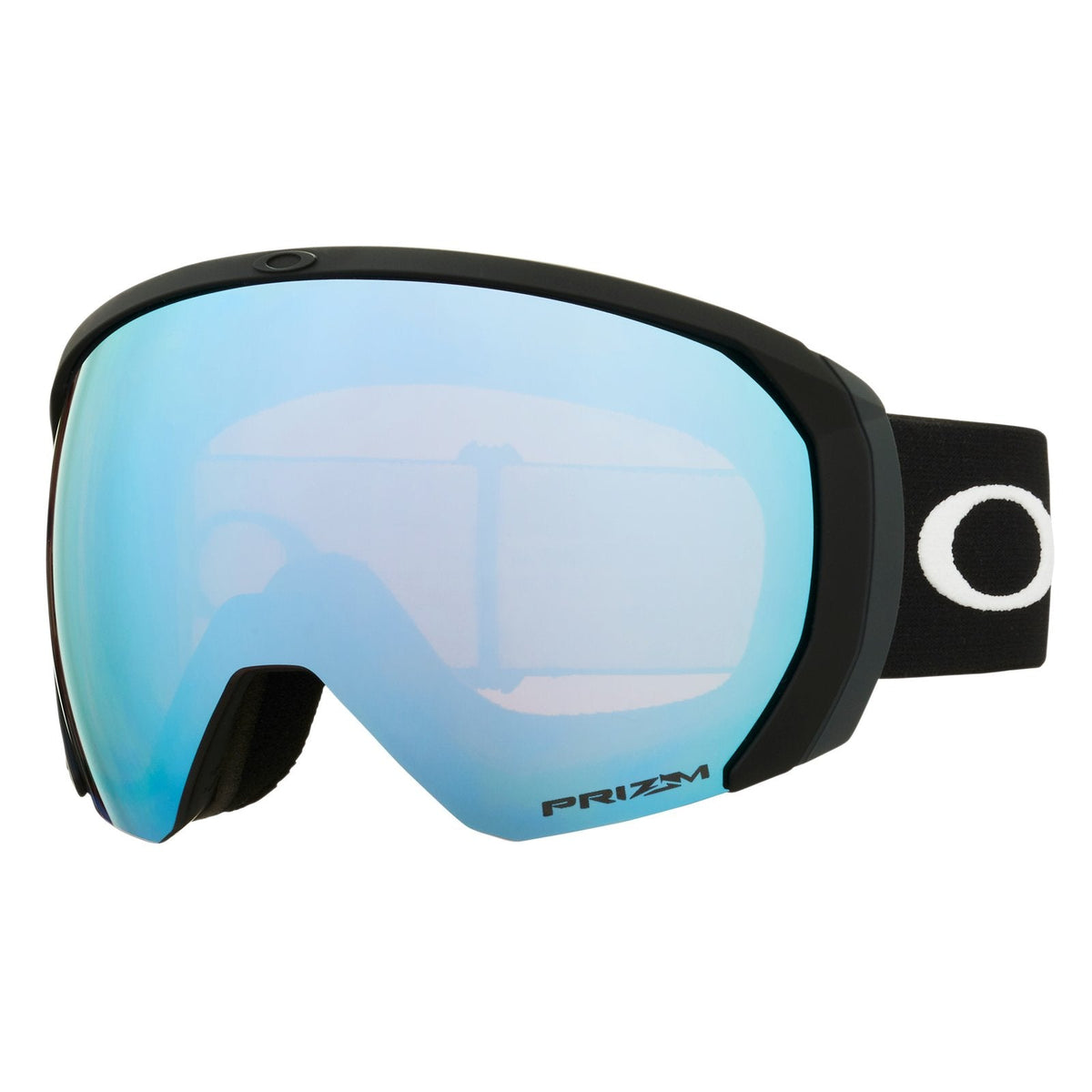 Flight Path L Snow Goggle