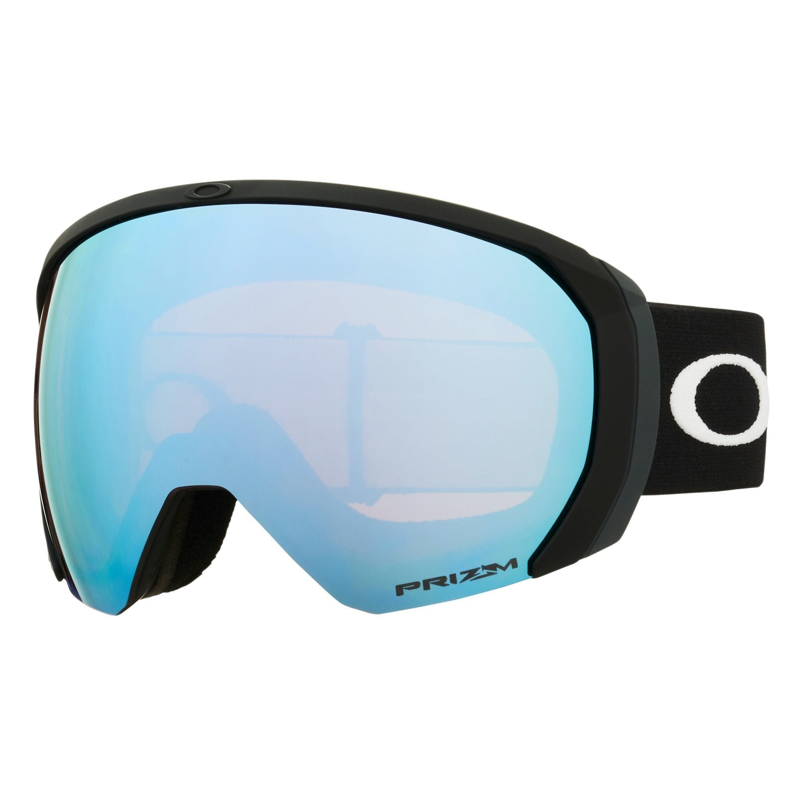 Flight Path L Snow Goggle