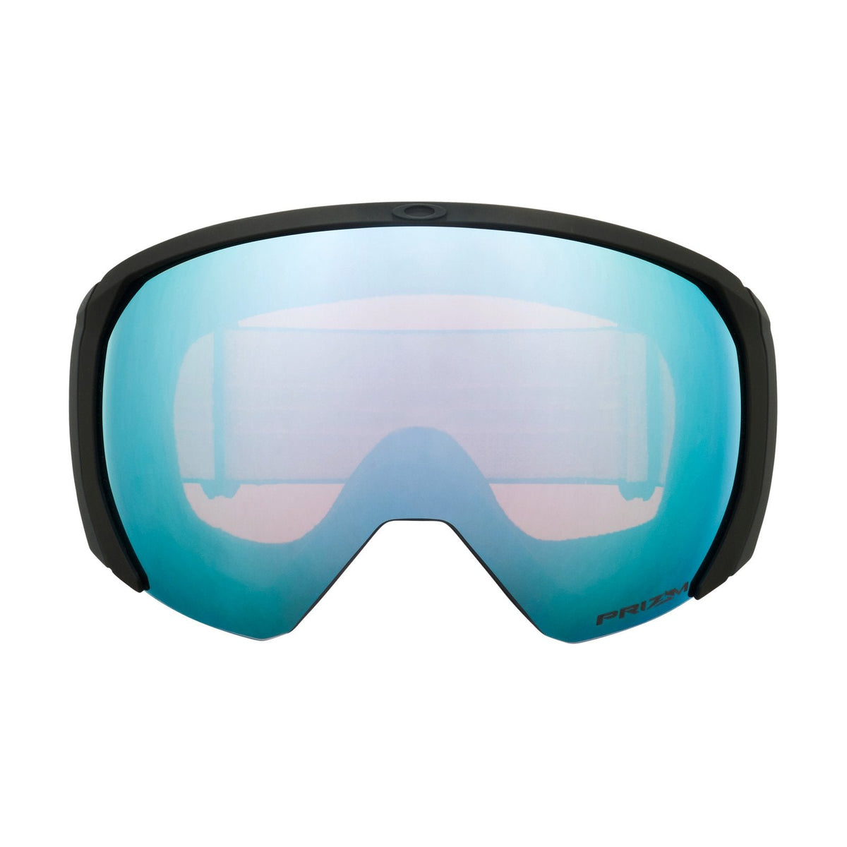 Flight Path L Snow Goggle
