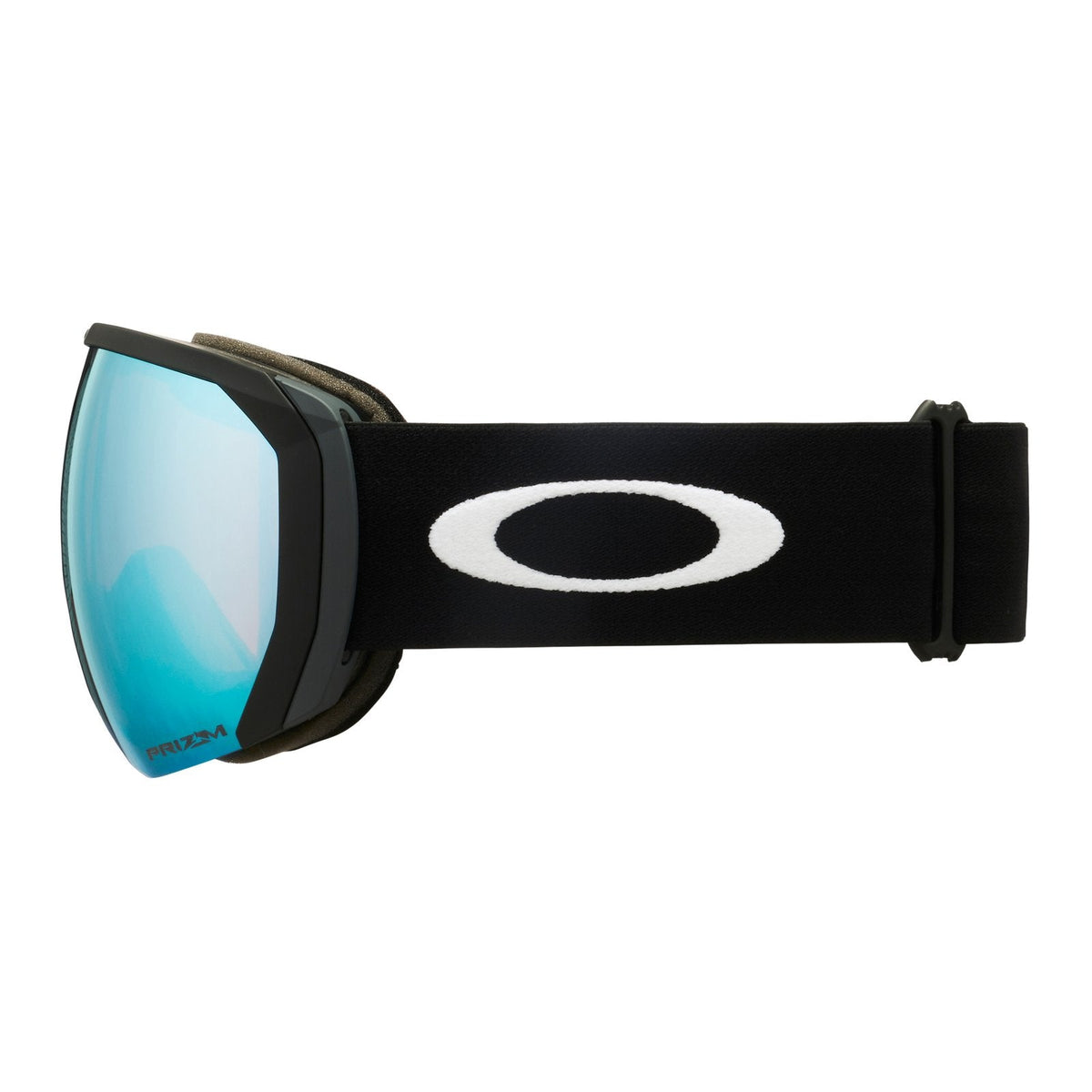 Flight Path L Snow Goggle