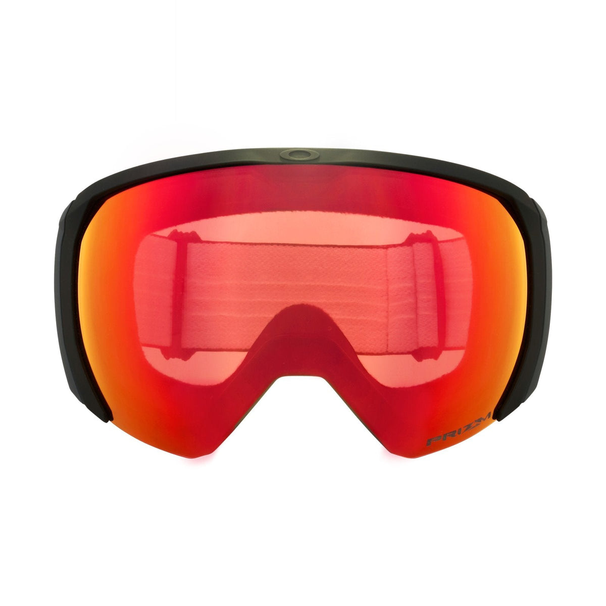 Flight Path L Snow Goggle
