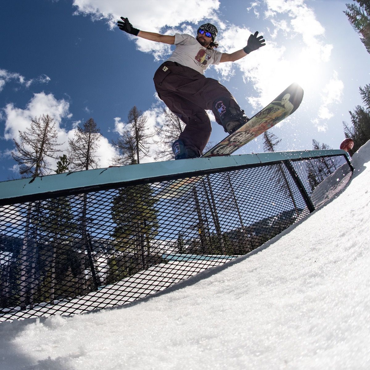 Money Snowboard