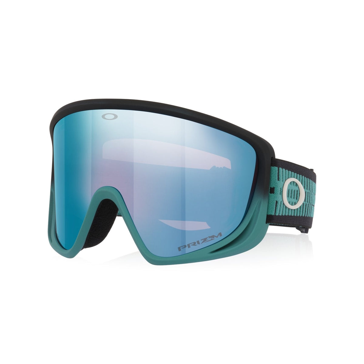 Mont Scape L (Low Bridge Fit) Snow Goggle