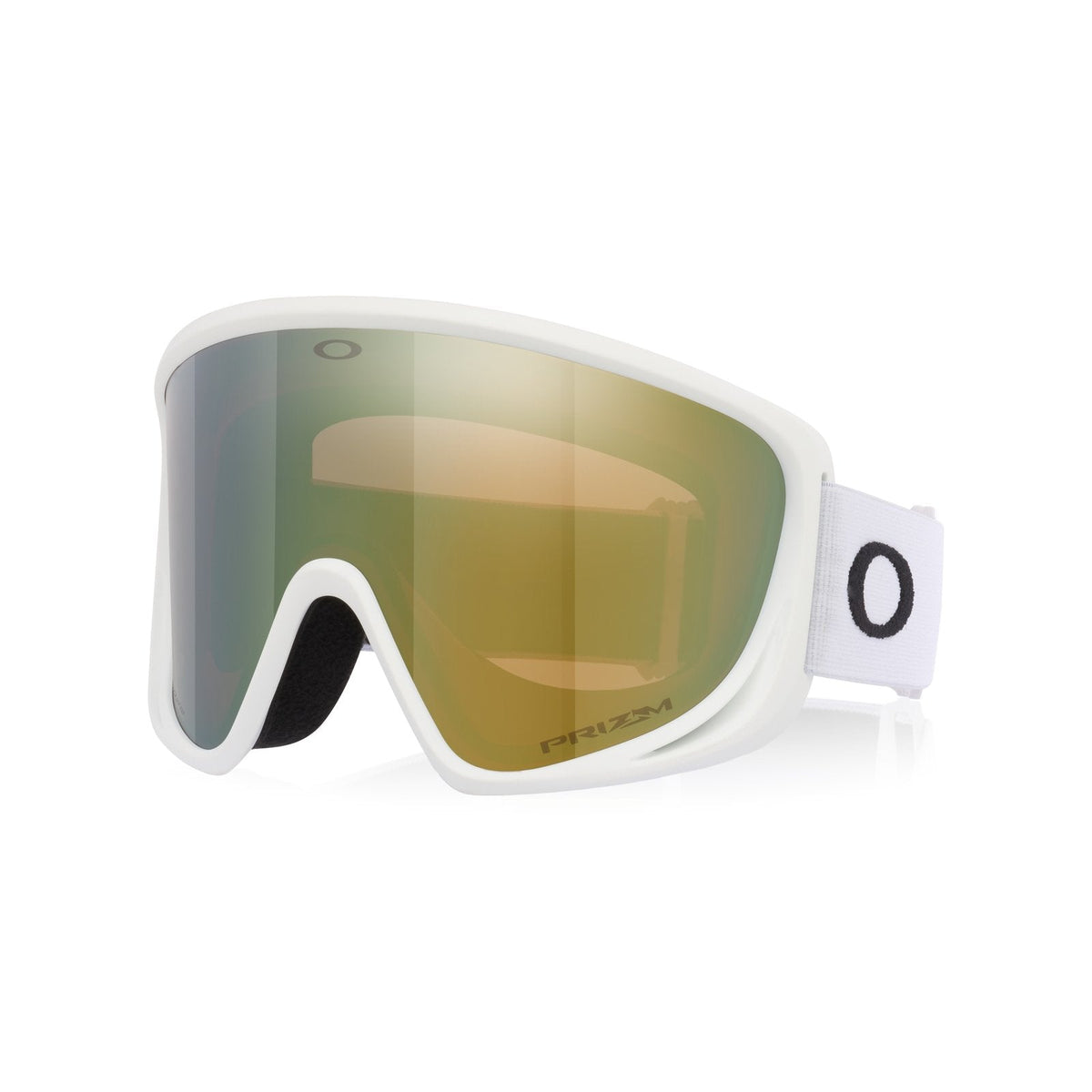 Mont Scape L (Low Bridge Fit) Snow Goggle