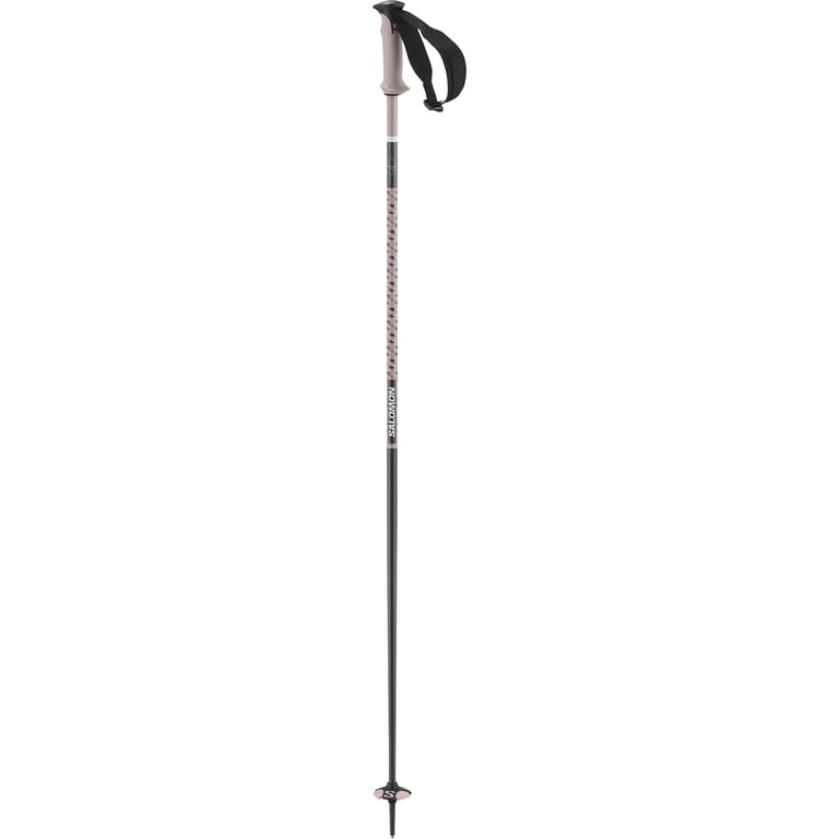 Polar Pro Ski Poles - Image 1