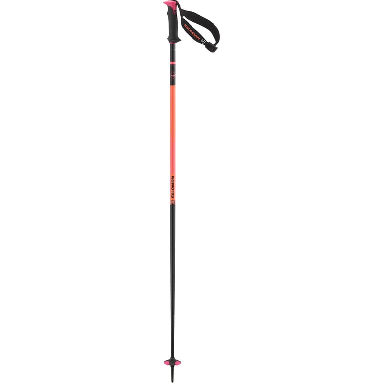 Polar Pro S3 Ski Poles - Image 1