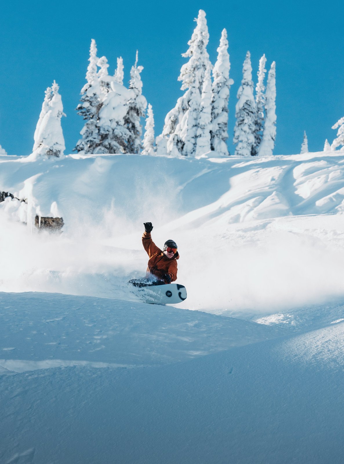 Family Tree Hometown Hero Camber Snowboard X-Ray - Image 10