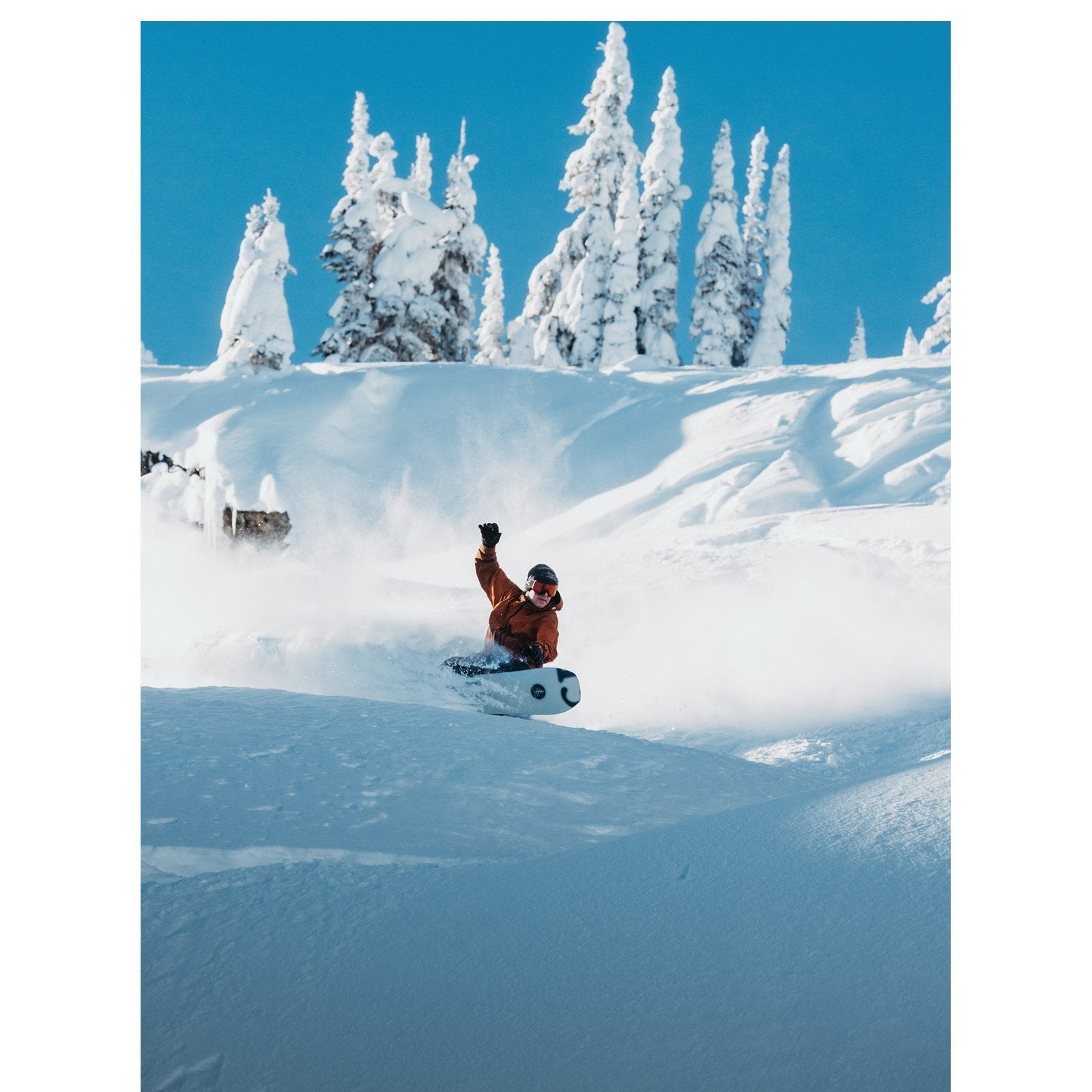 Family Tree Hometown Hero Camber Snowboard X-Ray - Image 10