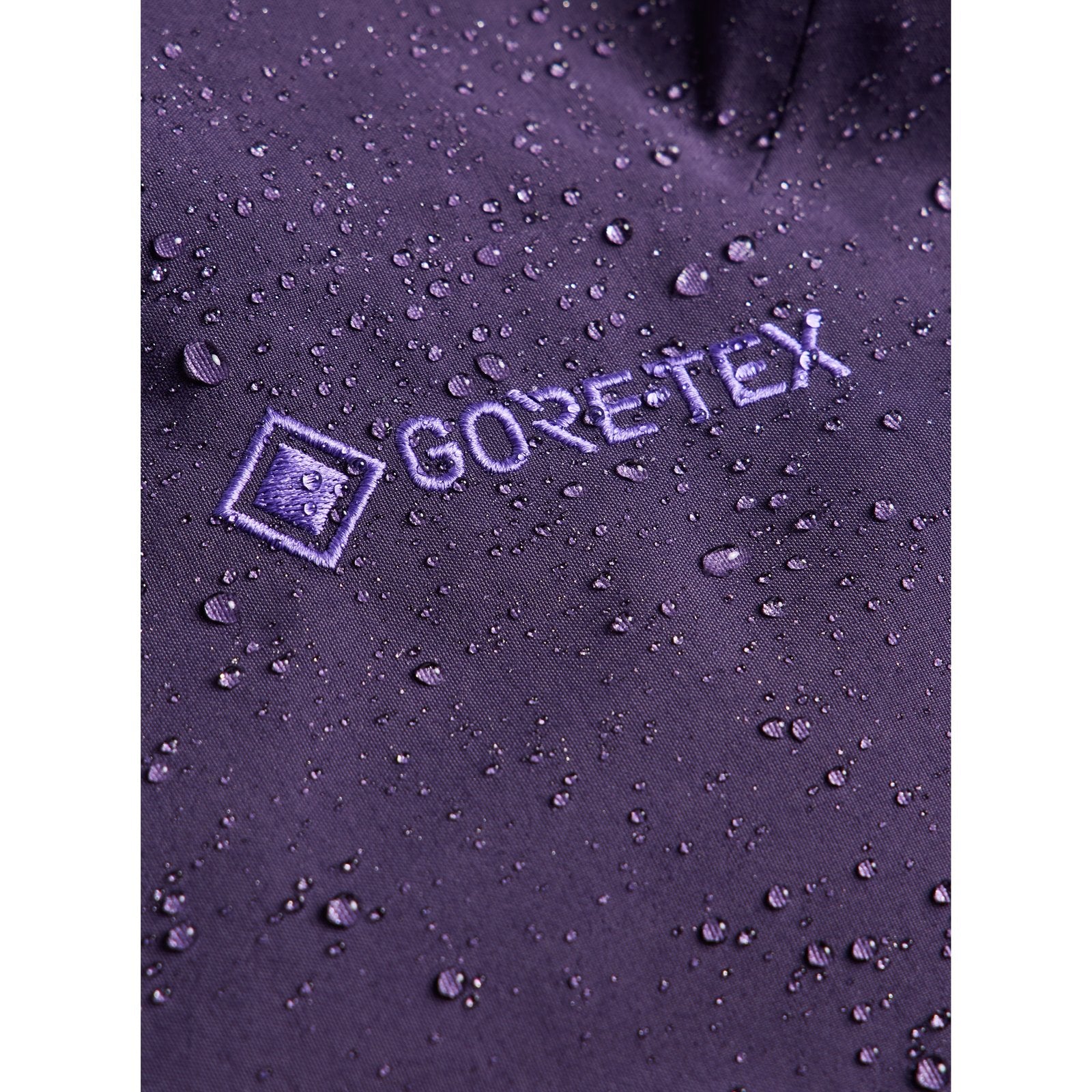 Womens [Ak] Swash Insulated Gore-Tex 2L Pants Nightshade Purple - Image 17