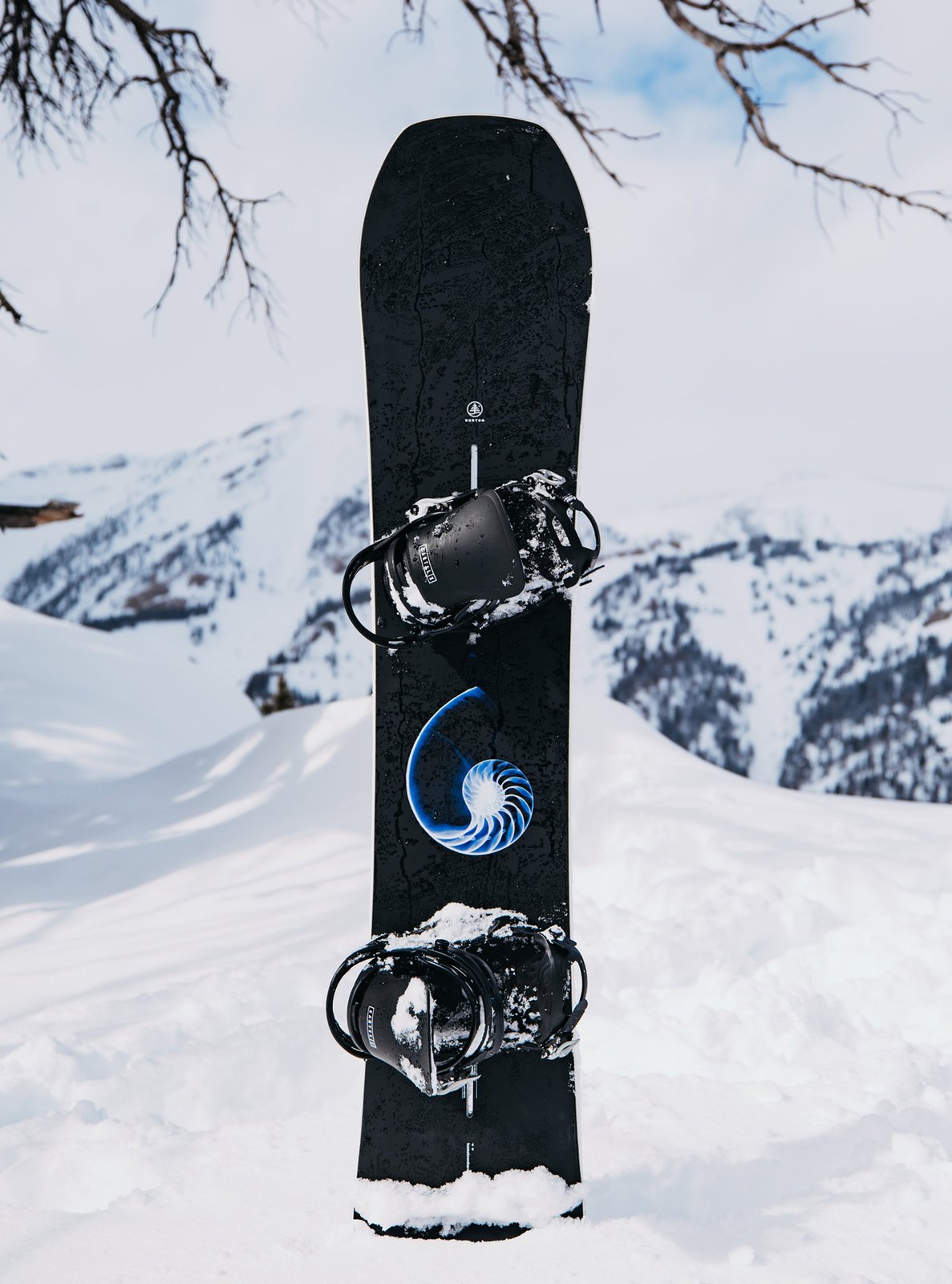 Family Tree Hometown Hero Camber Snowboard X-Ray - Image 18
