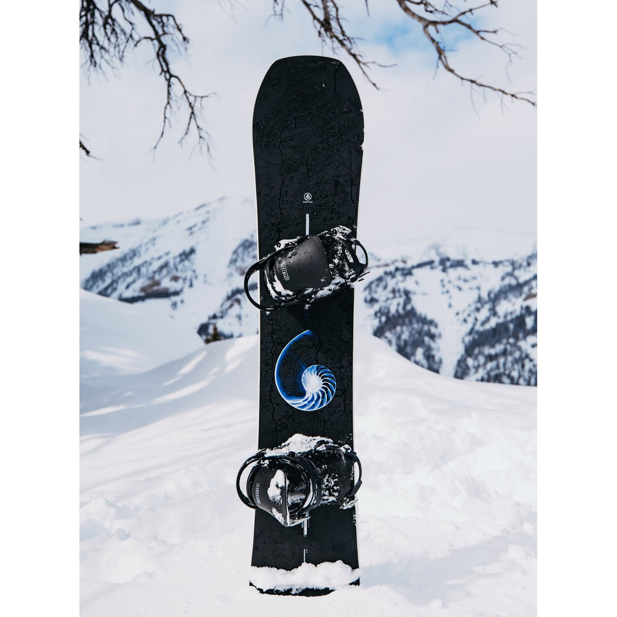 Family Tree Hometown Hero Camber Snowboard X-Ray - Image 18