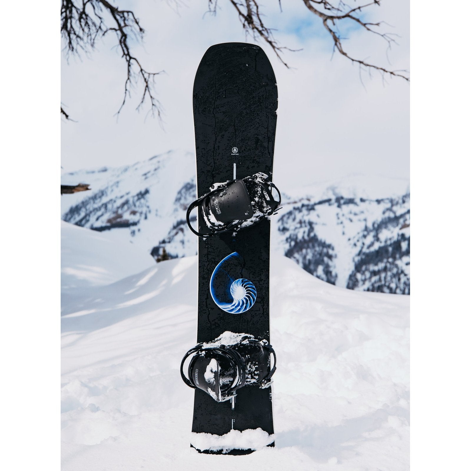 Family Tree Hometown Hero Camber Snowboard X-Ray - Image 18