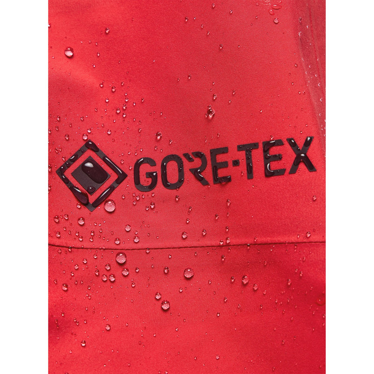 Womens [Ak] Kimmy Gore-Tex 3L Stretch Bib Pants True Black - Image 25