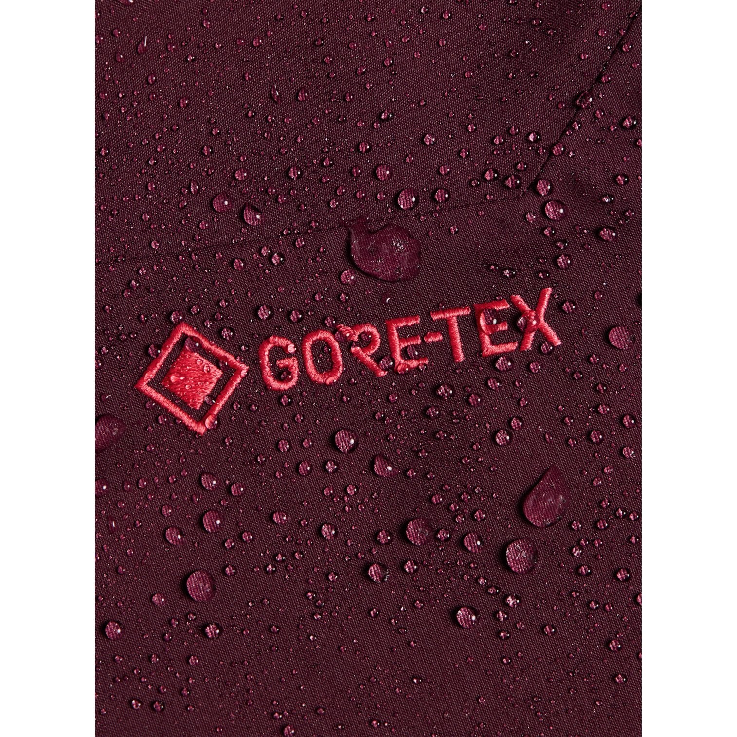 Womens [Ak] Cyclic Gore-Tex 2L Pants Rum Raisin - Image 2