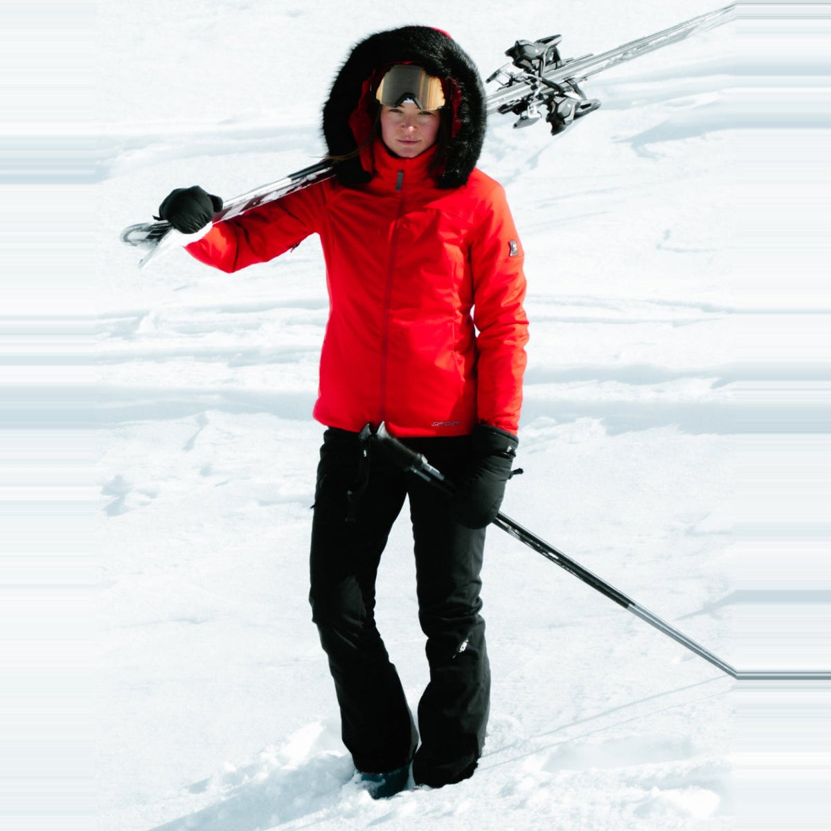 Womens Orb Softshell Pants Black - Image 4
