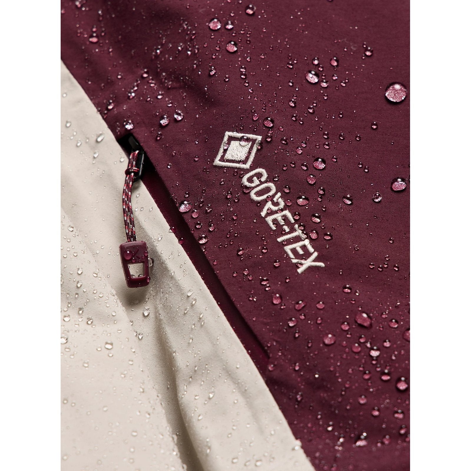 Mens [Ak] Cyclic Gore-Tex 2L Jacket Rum Raisin / Chinchilla Gray - Image 50
