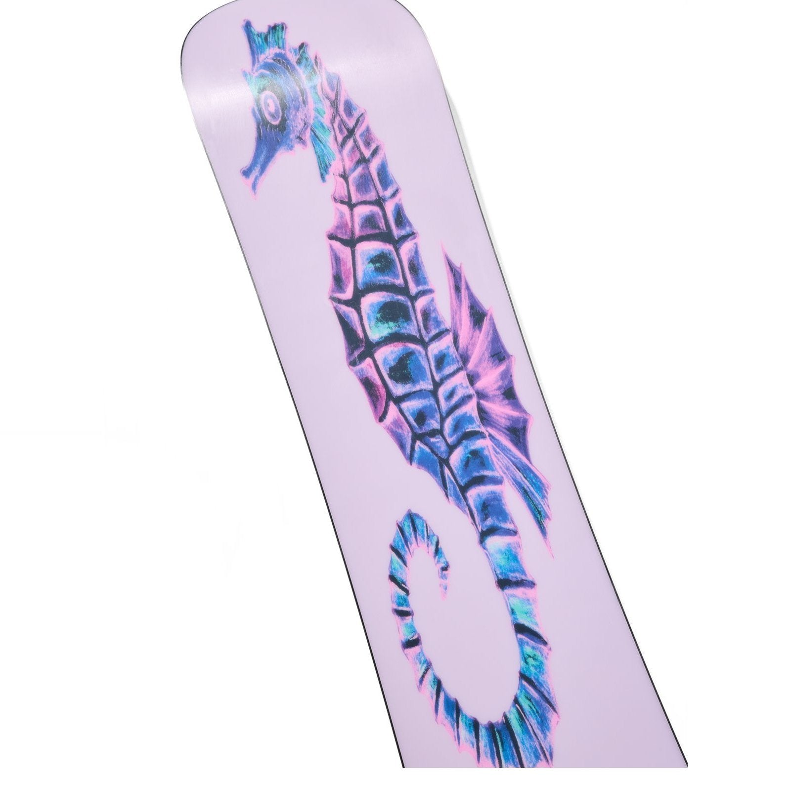 Blossom Camber Snowboard Seahorse - Image 5