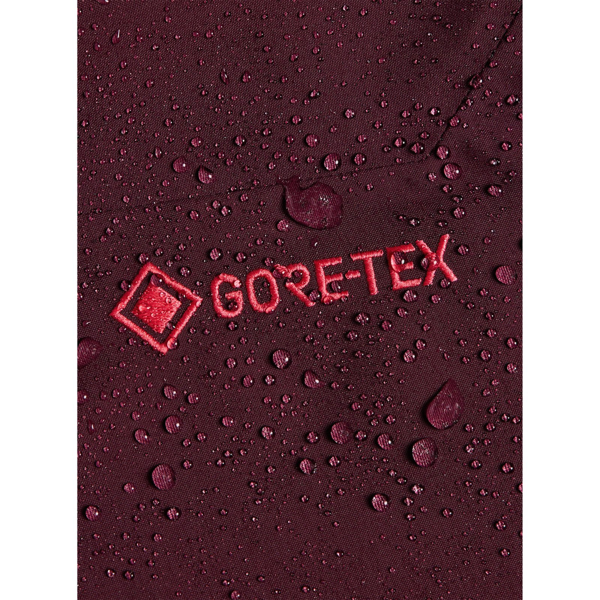 Womens [Ak] Cyclic Gore-Tex 2L Pants Rum Raisin - Image 8