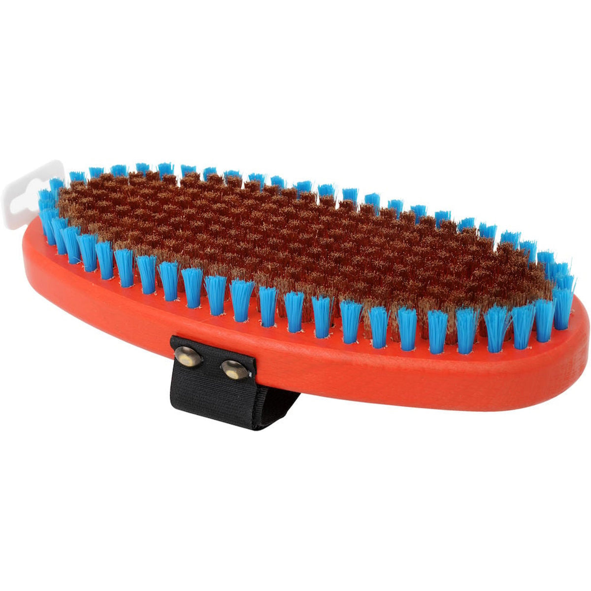 Oval Medium Coarse Brush T162O