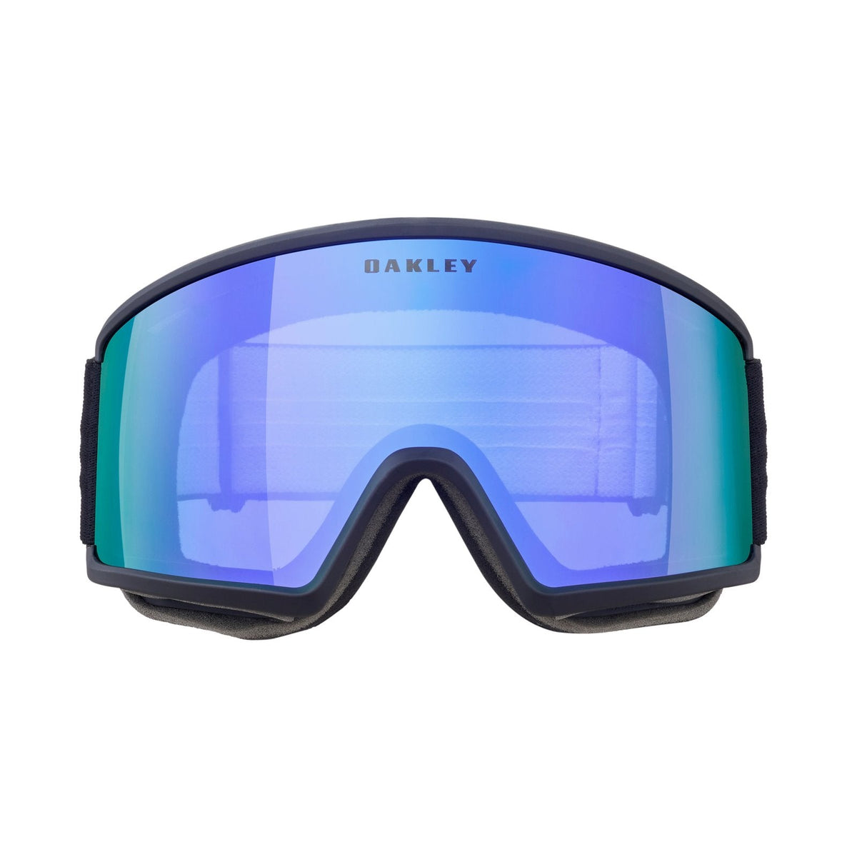 Target Line L Snow Goggle
