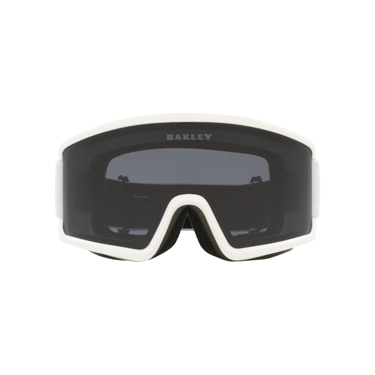 Target Line L Snow Goggle