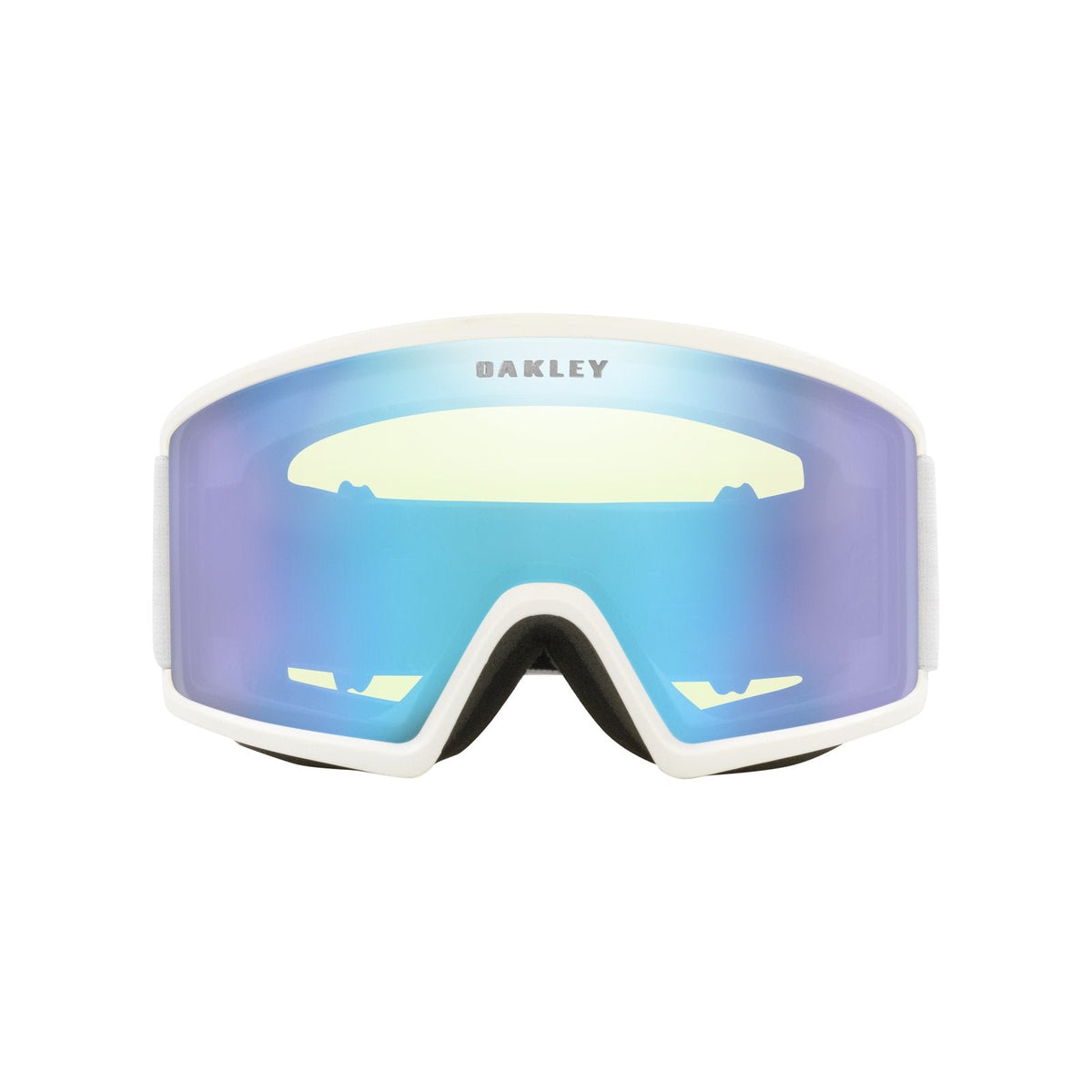 Target Line L Snow Goggle