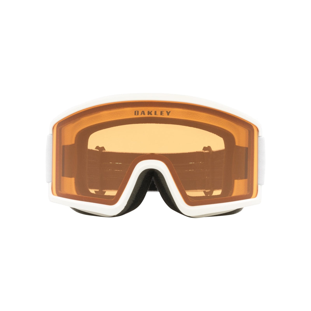 Target Line L Snow Goggle