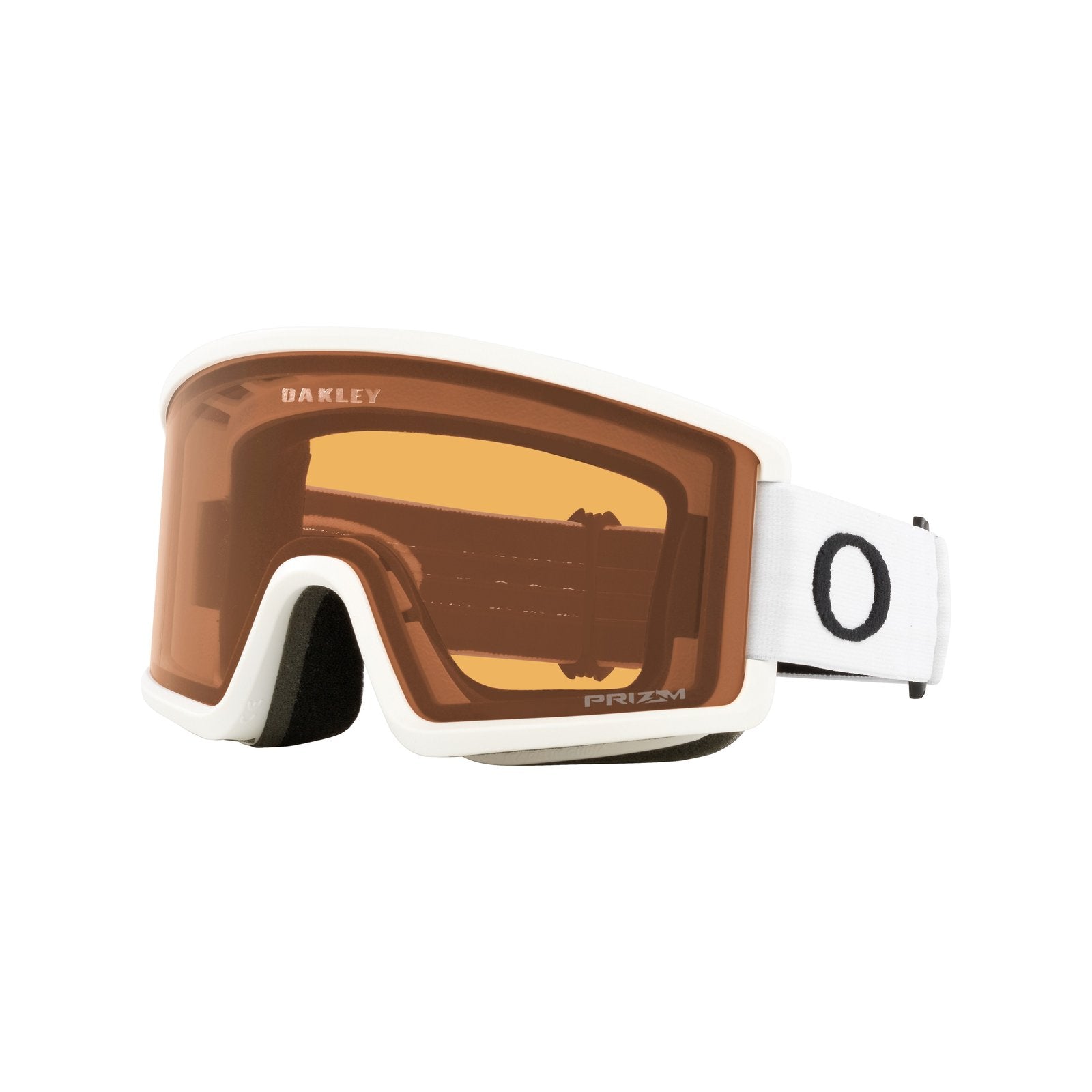 Target Line L Snow Goggle